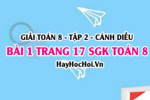 Bài 1 trang 17 Toán 8 Tập 2 Cánh Diều